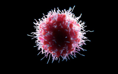 Natural killer cells fight cancer without collateral damage