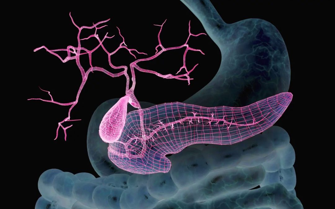 Artificial pancreas tested for the first time in type 2 diabetes patients