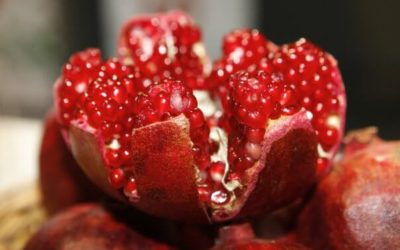 Pomegranate extract could unlock powerful ‘fountain of youth’ treatment for seniors – Study Finds