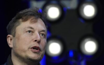 Human Rights Groups Raise ‘Concerns’ About ‘Hate Speech’ over Elon Musk Buying Twitter